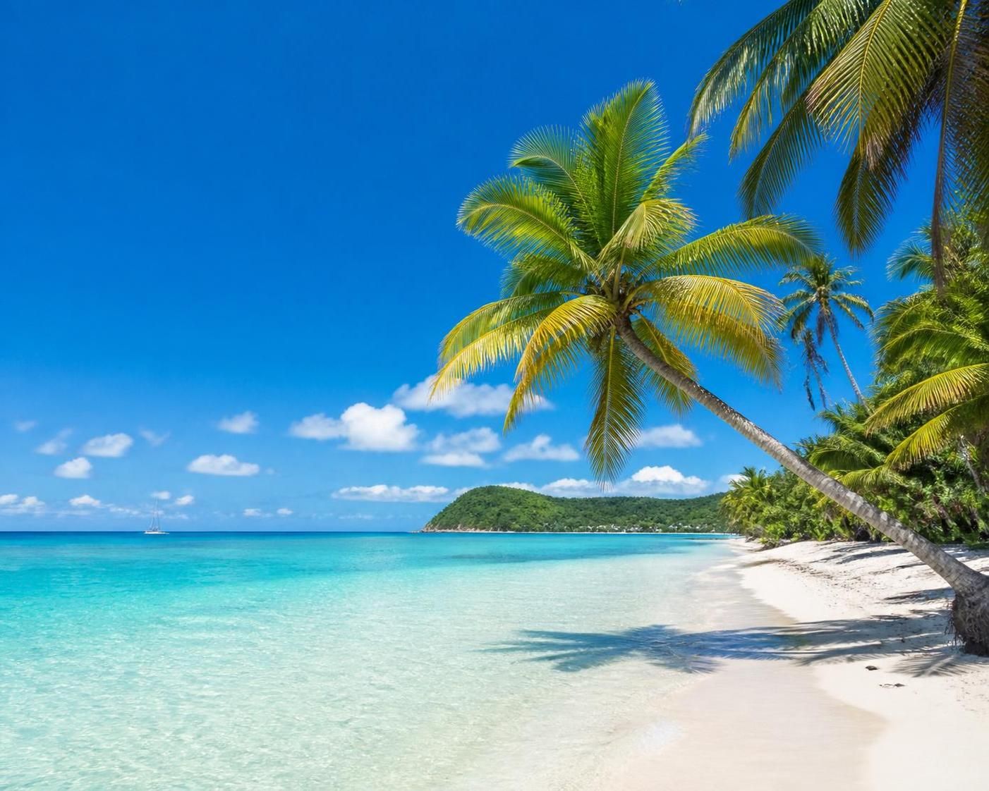 découvrez quand partir en martinique pas cher et profitez de nos astuces pour un séjour réussi sans vous ruiner. conseils pratiques pour voyager malin et économiser.
