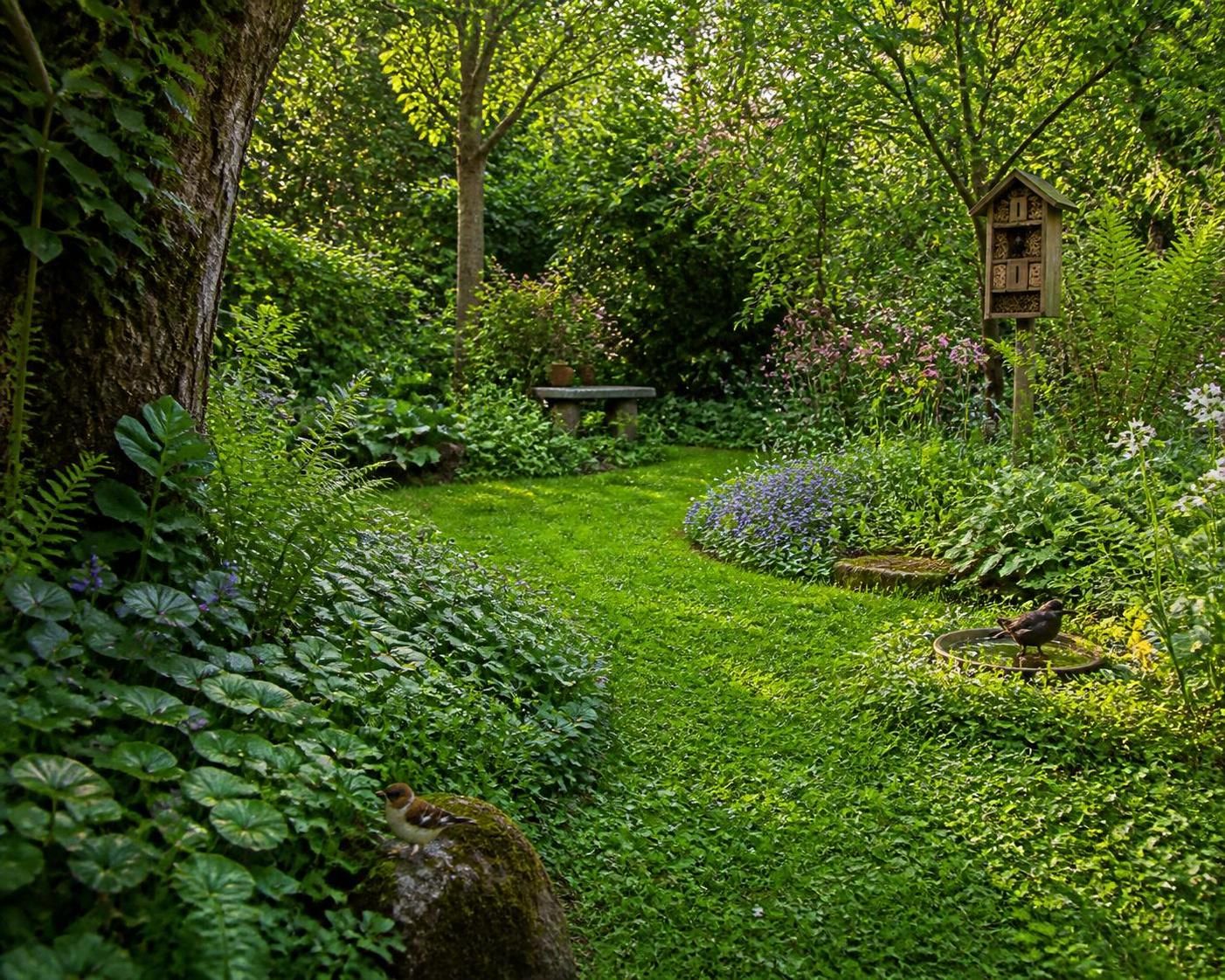 découvrez comment choisir la pelouse idéale pour un jardin naturel et durable grâce à nos conseils d'engazonnement adaptés à votre environnement.